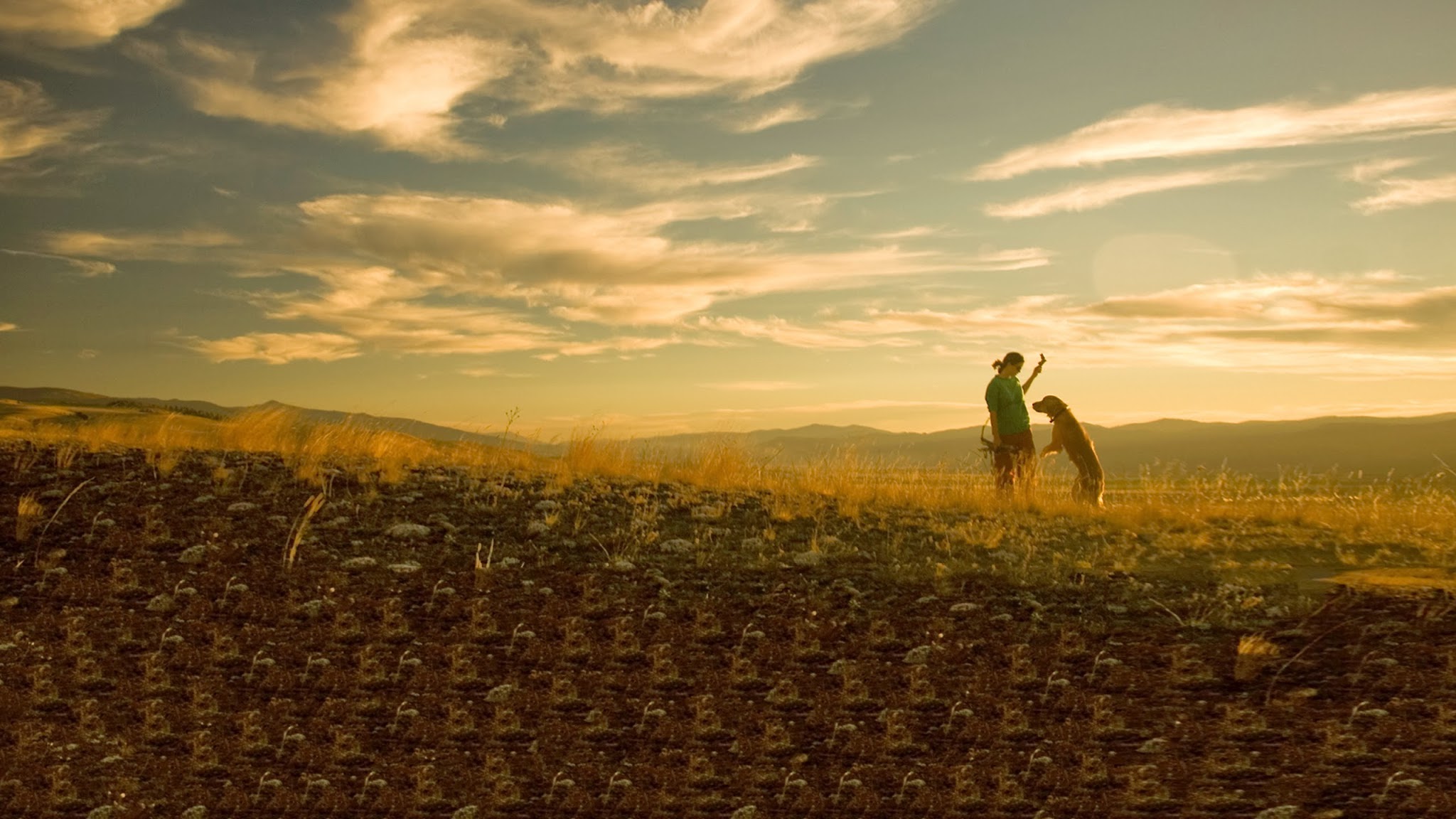 Nestlé Purina Svizzera YouTube banner
