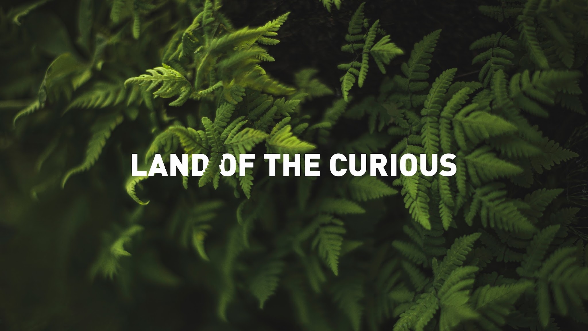 LUT University, Finland (Land of the Curious) YouTube banner