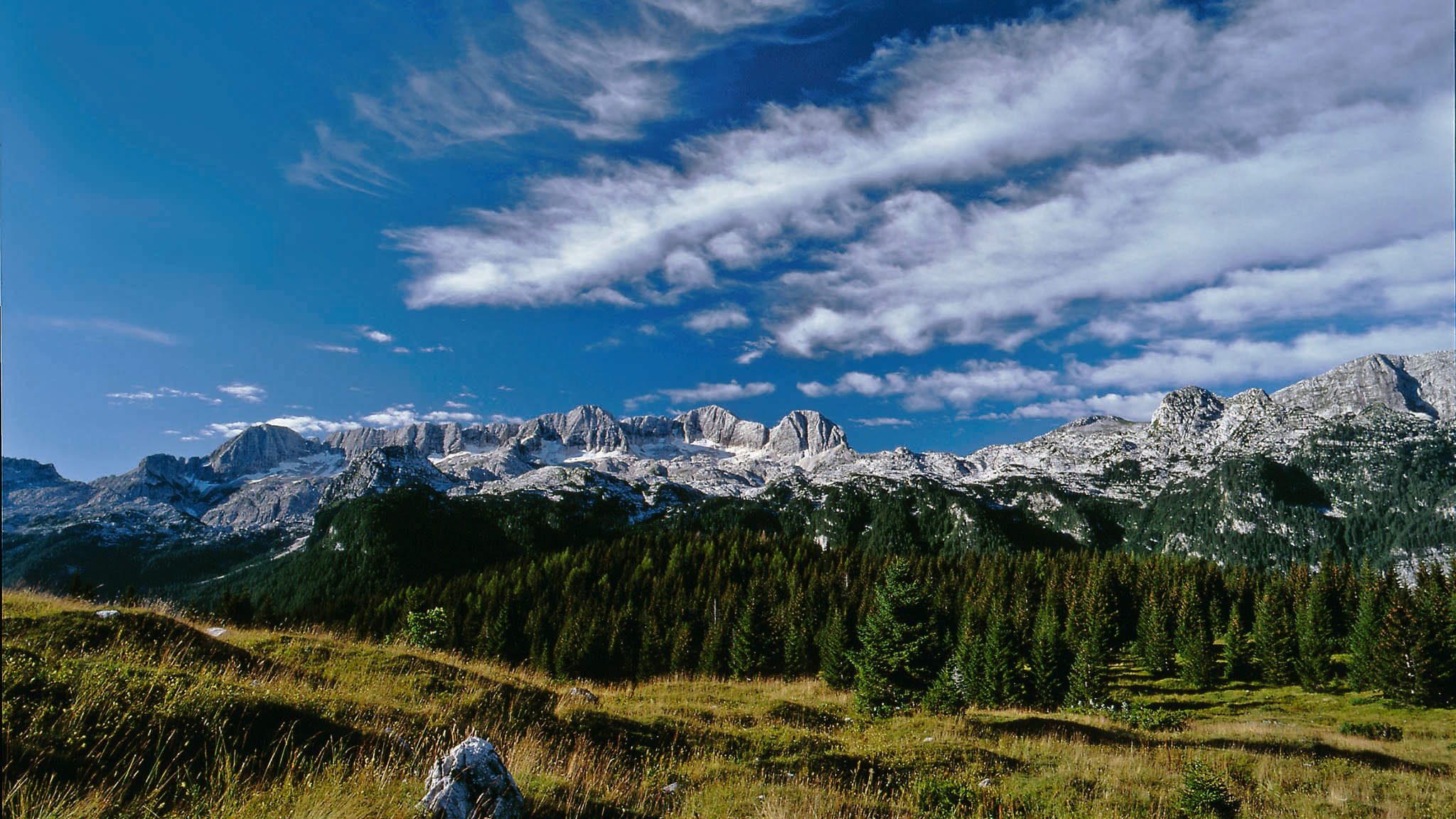 Parco naturale delle Prealpi Giulie YouTube banner