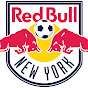 NYRB Youth Programs YouTube channel avatar 