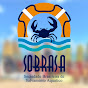 Sobrasa Brasil YouTube channel avatar 