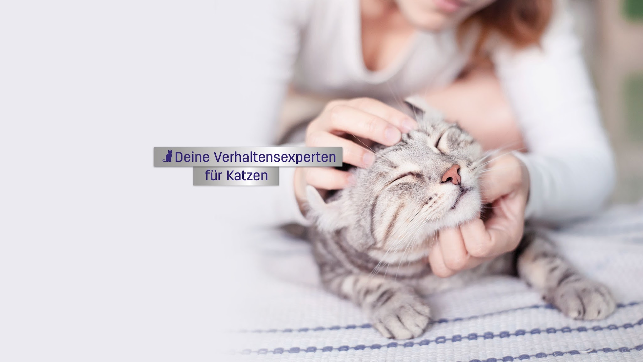 FELIWAY Katzen YouTube banner
