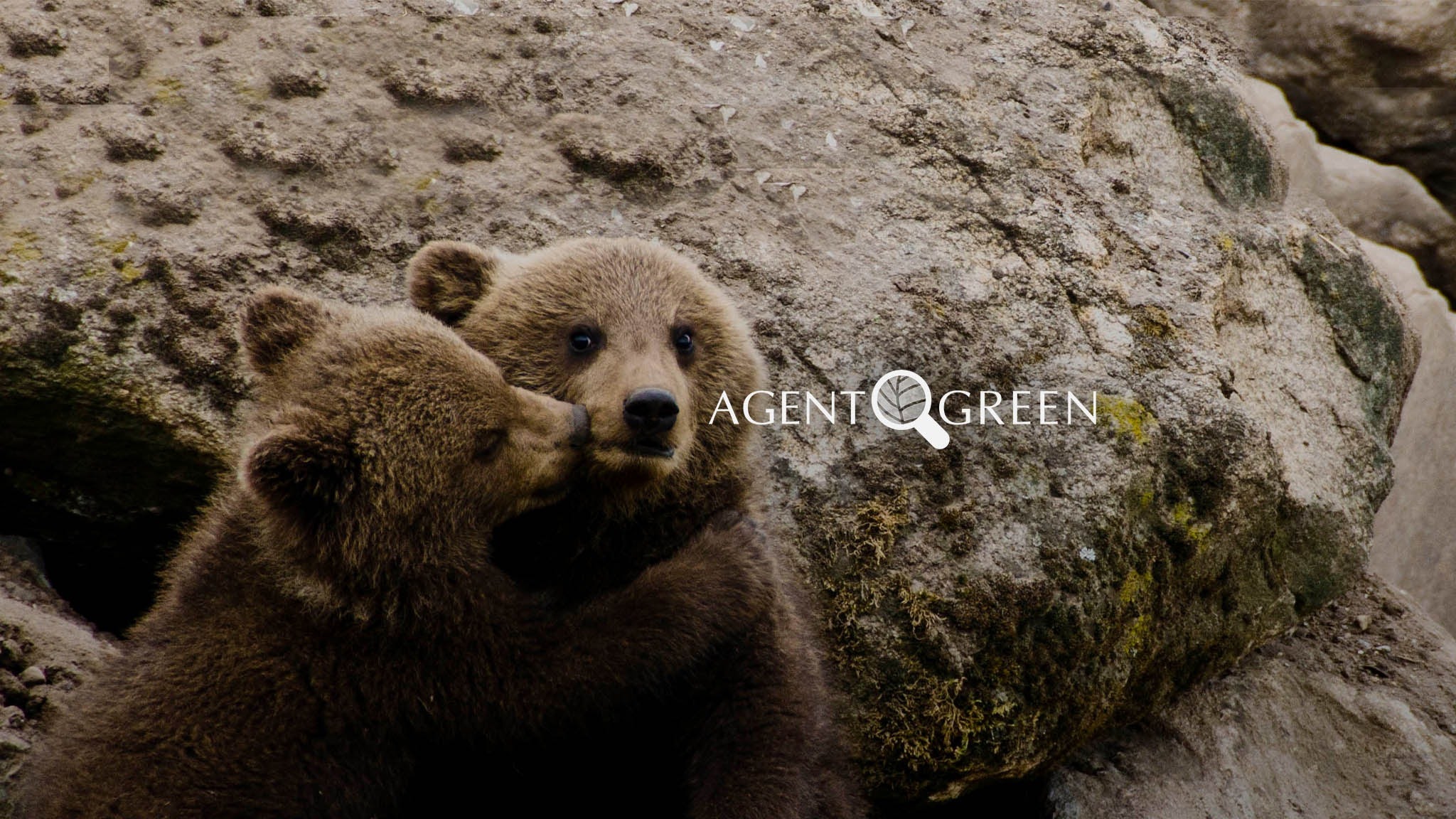 Agent Green Romania YouTube banner