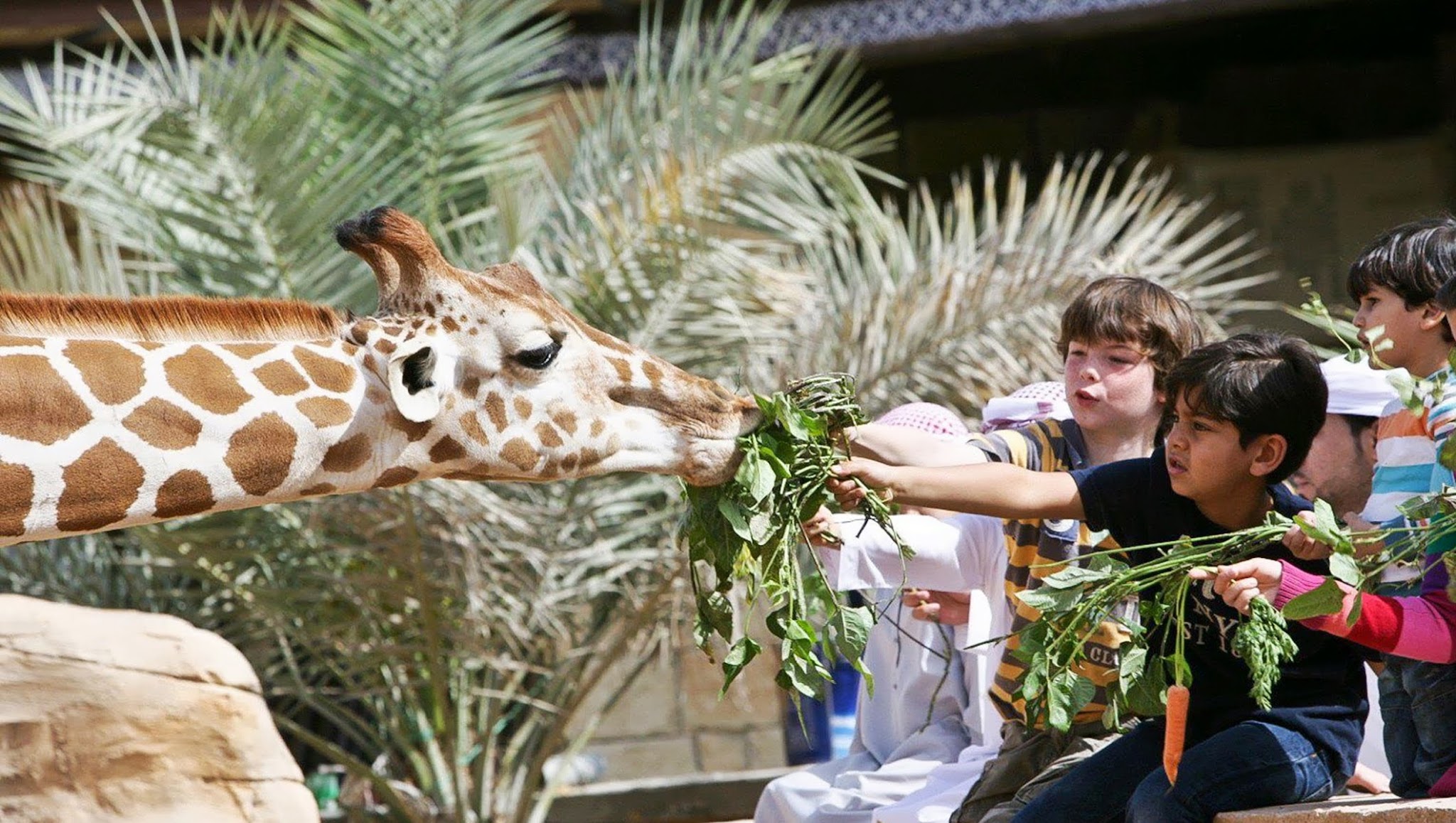 Emirates Park Zoo & Resort (ZOO TV) YouTube banner
