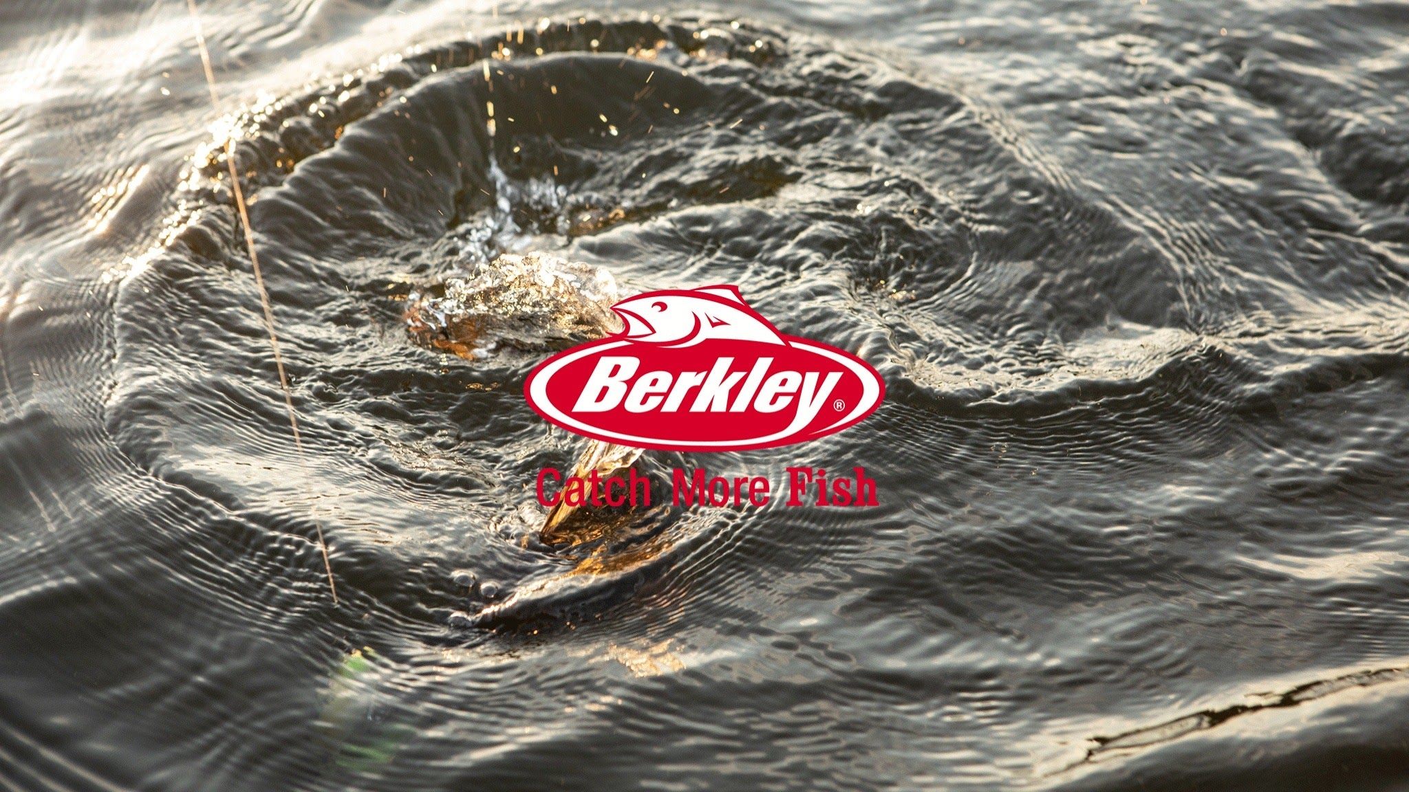 Berkley Fishing Europe YouTube banner