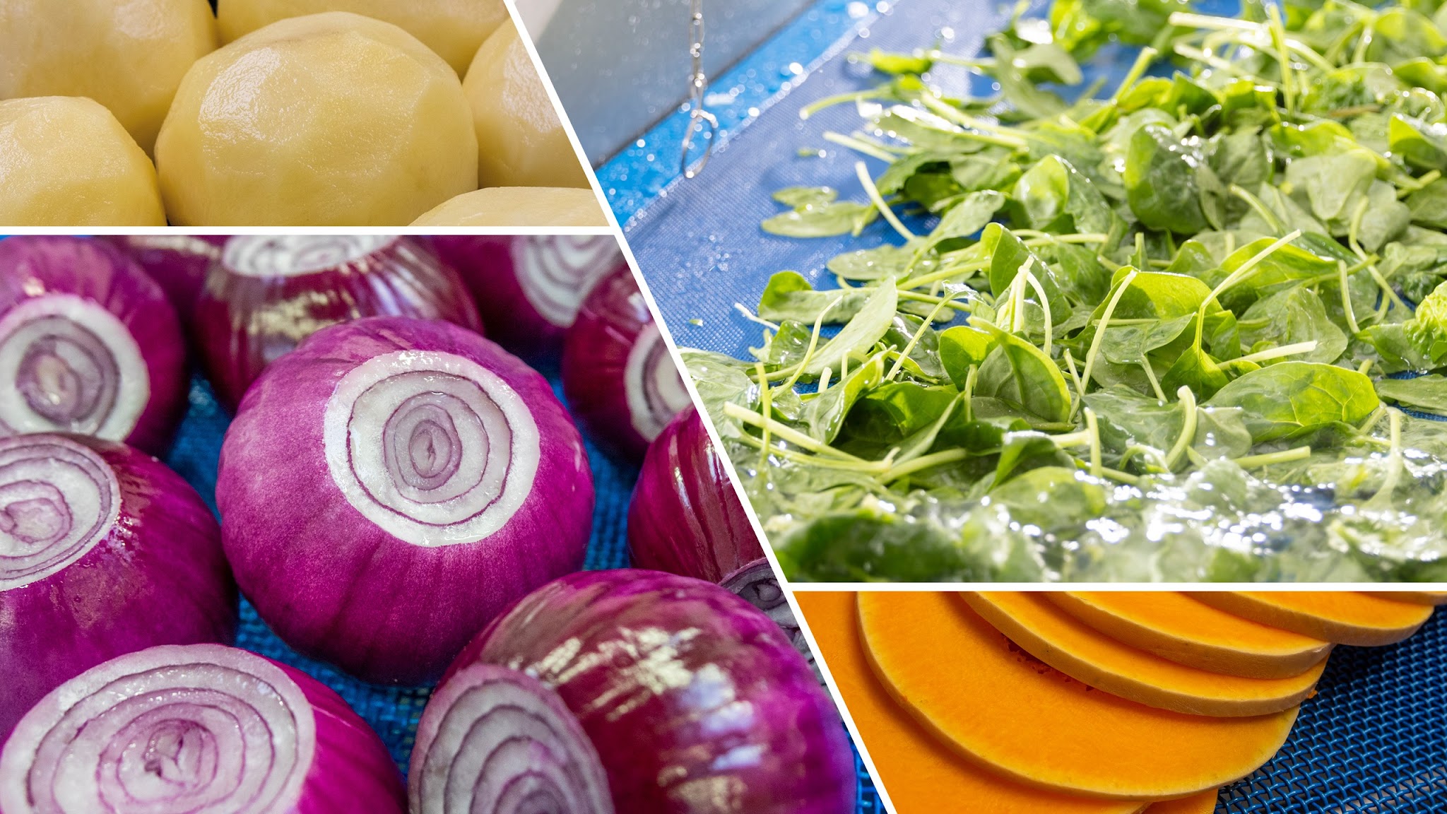 Finis || Eillert - Food Processing Equipment YouTube banner
