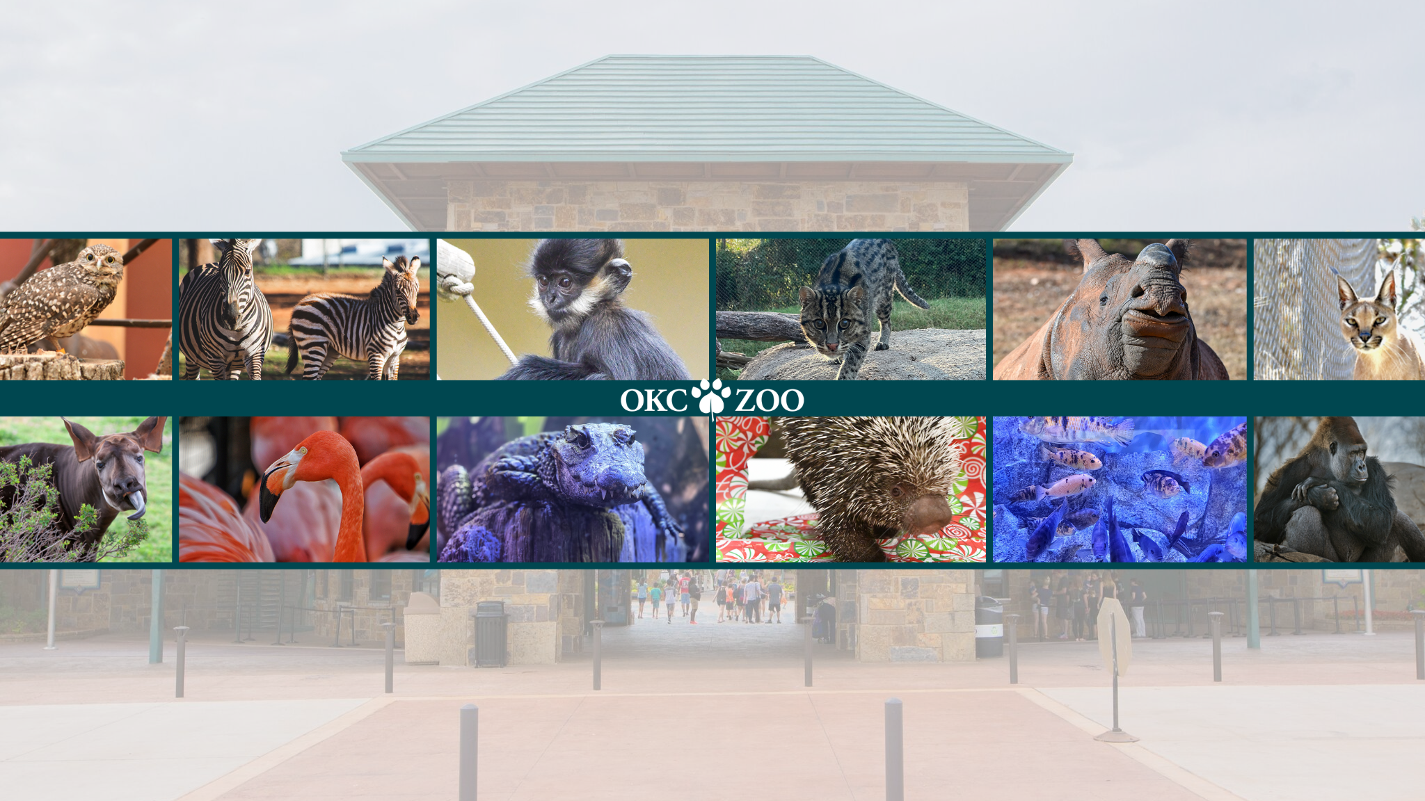 Oklahoma City Zoo and Botanical Garden YouTube banner