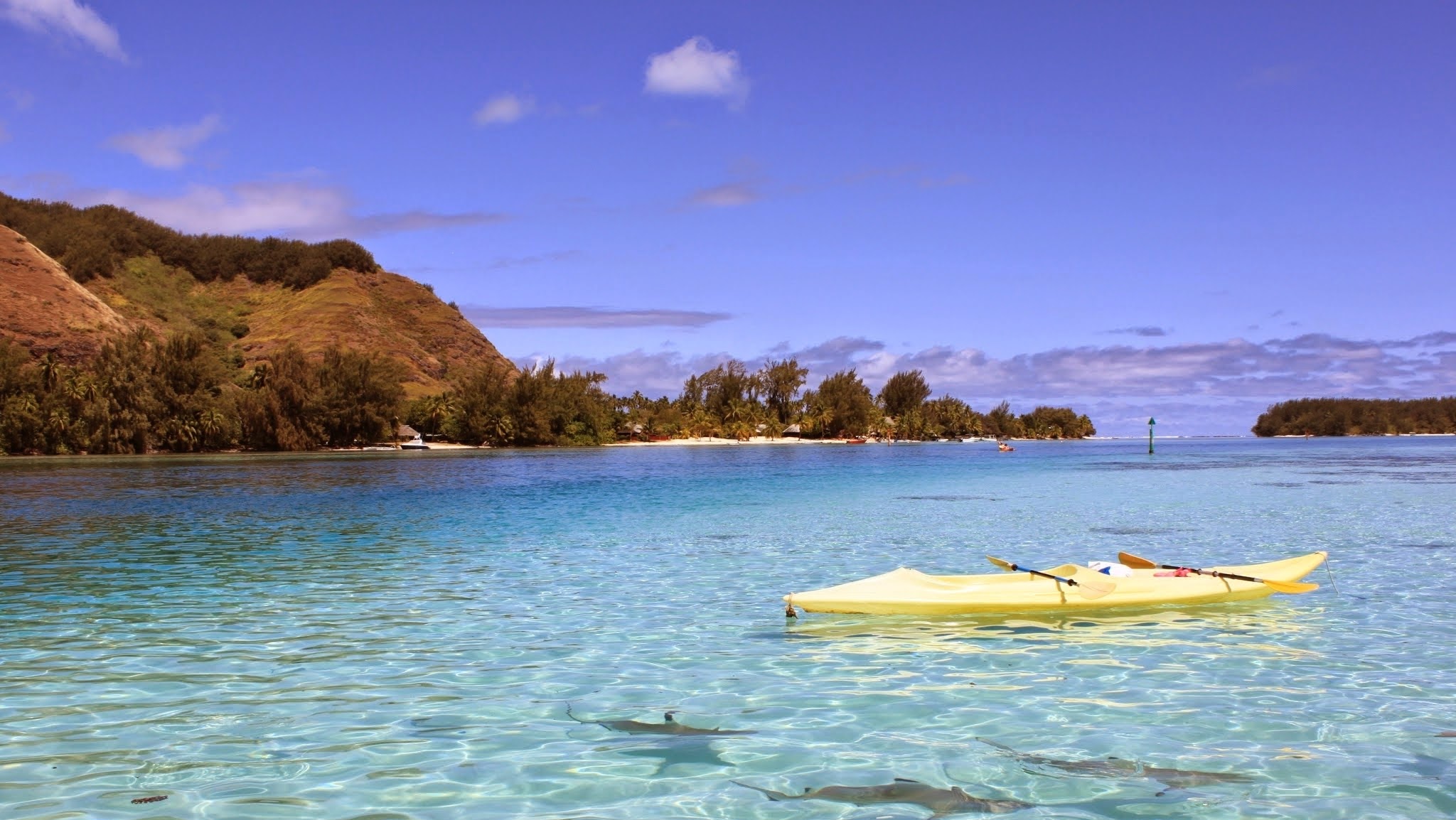 Travelpedia YouTube banner