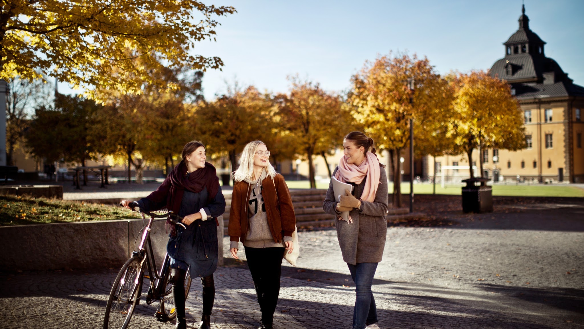Mittuniversitetet YouTube banner