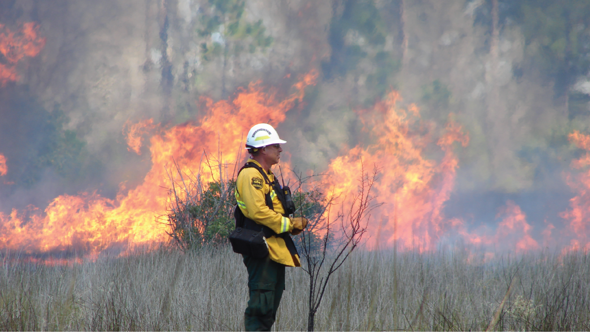 Florida Forest Service YouTube banner