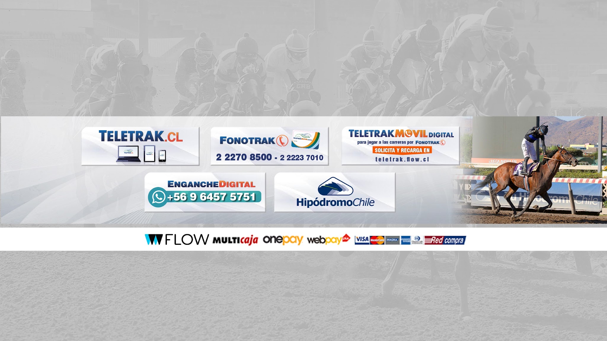 Hipodromo Chile YouTube banner