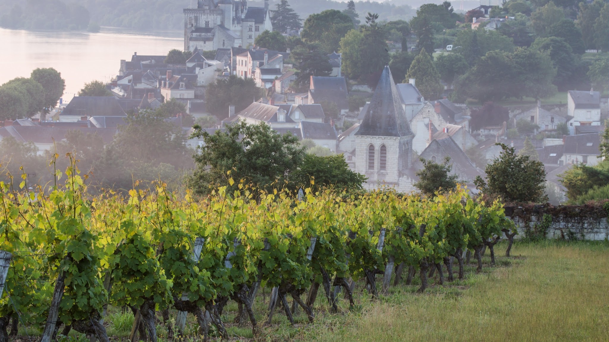 Vins de Loire YouTube banner