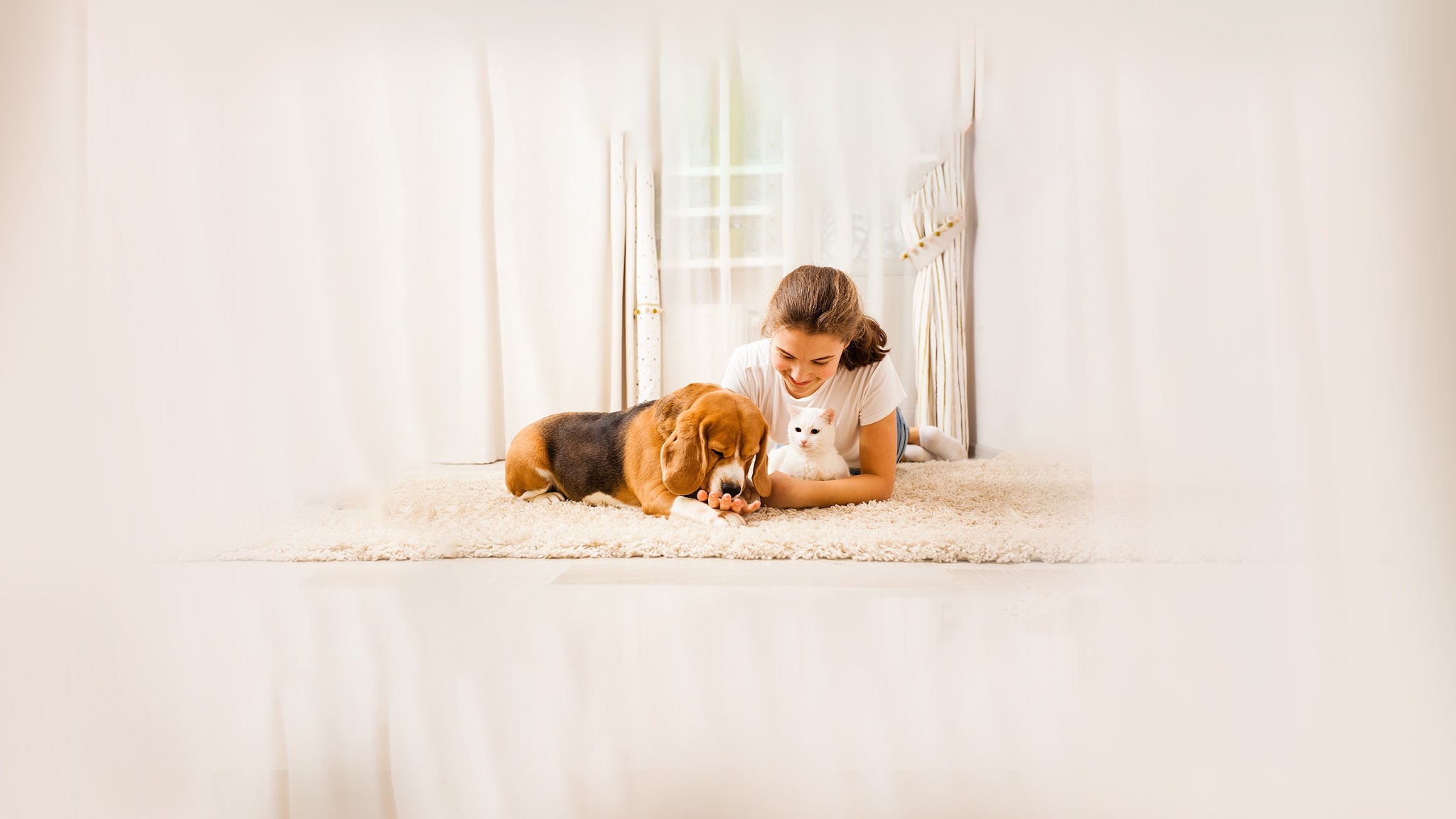 Purina Israel YouTube banner