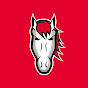 Leicester Riders logo