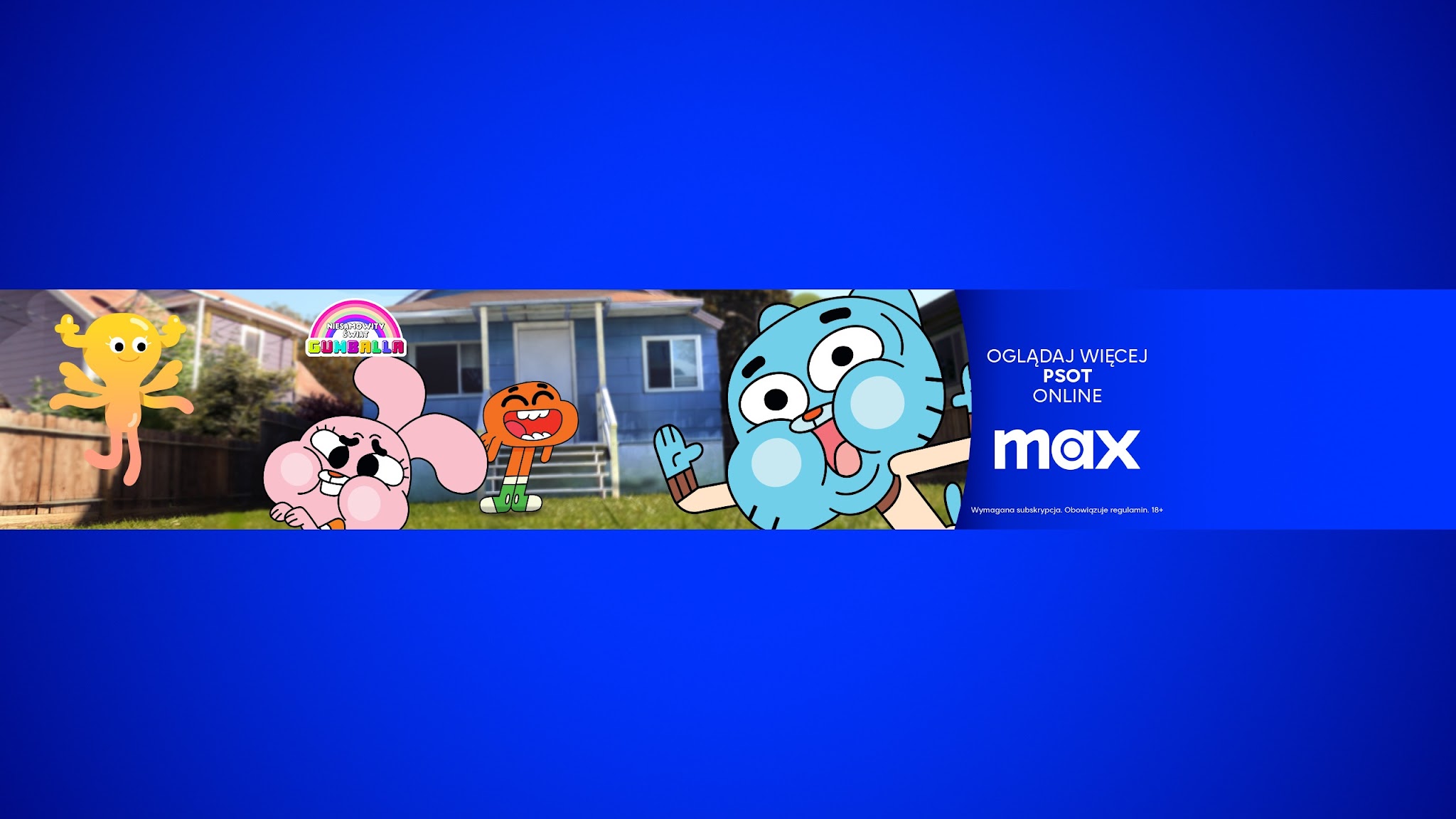 Cartoon Network Polska YouTube banner