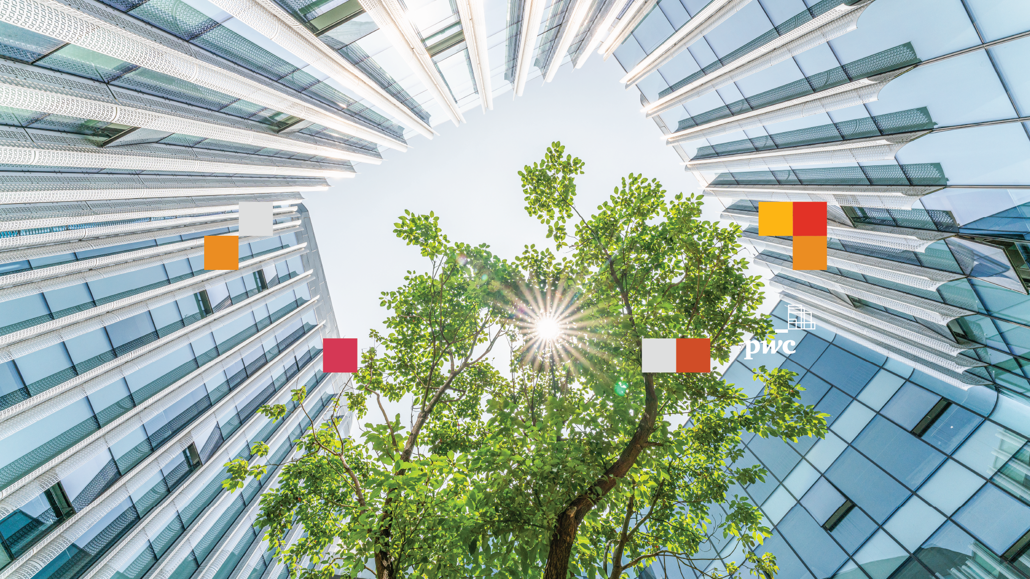 PwC Argentina YouTube banner