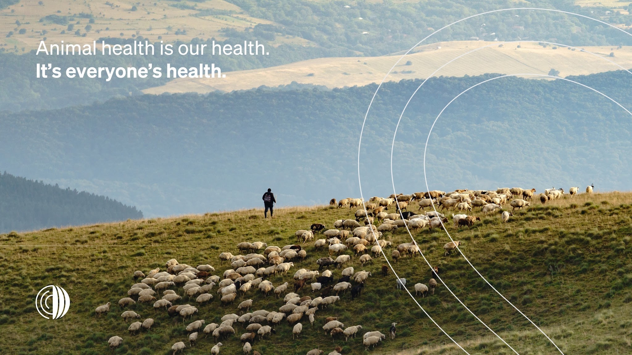World Organisation for Animal Health YouTube banner