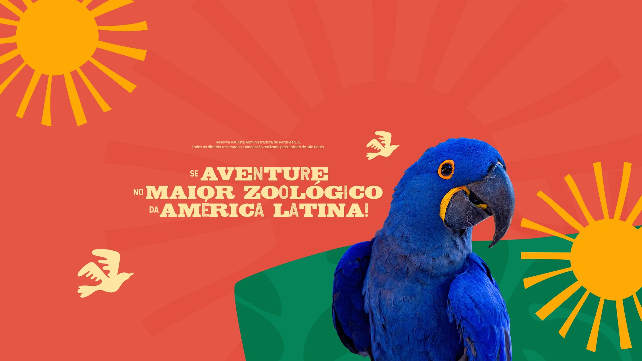 Zoológico de São Paulo YouTube banner