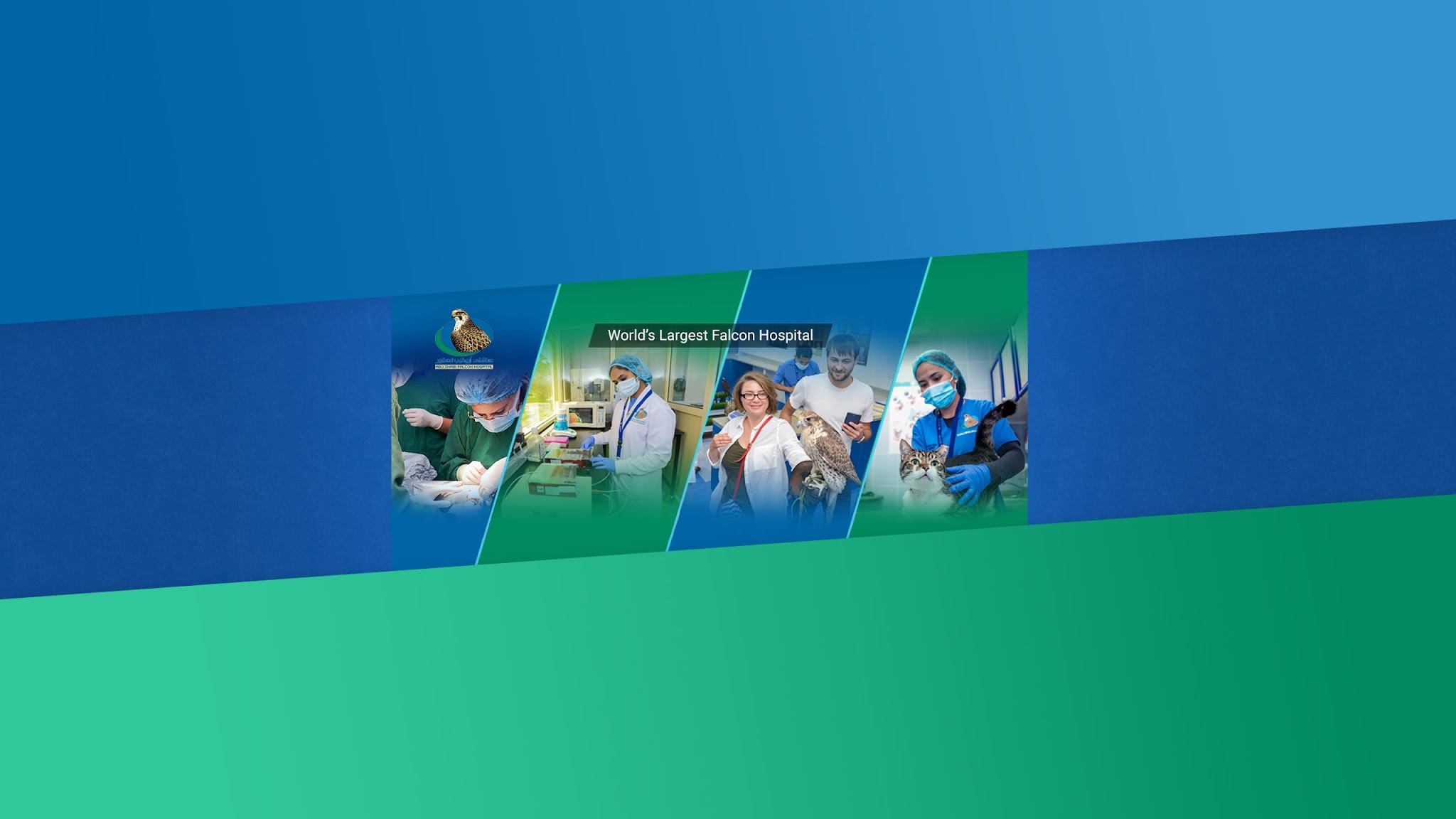 TheADFH YouTube banner