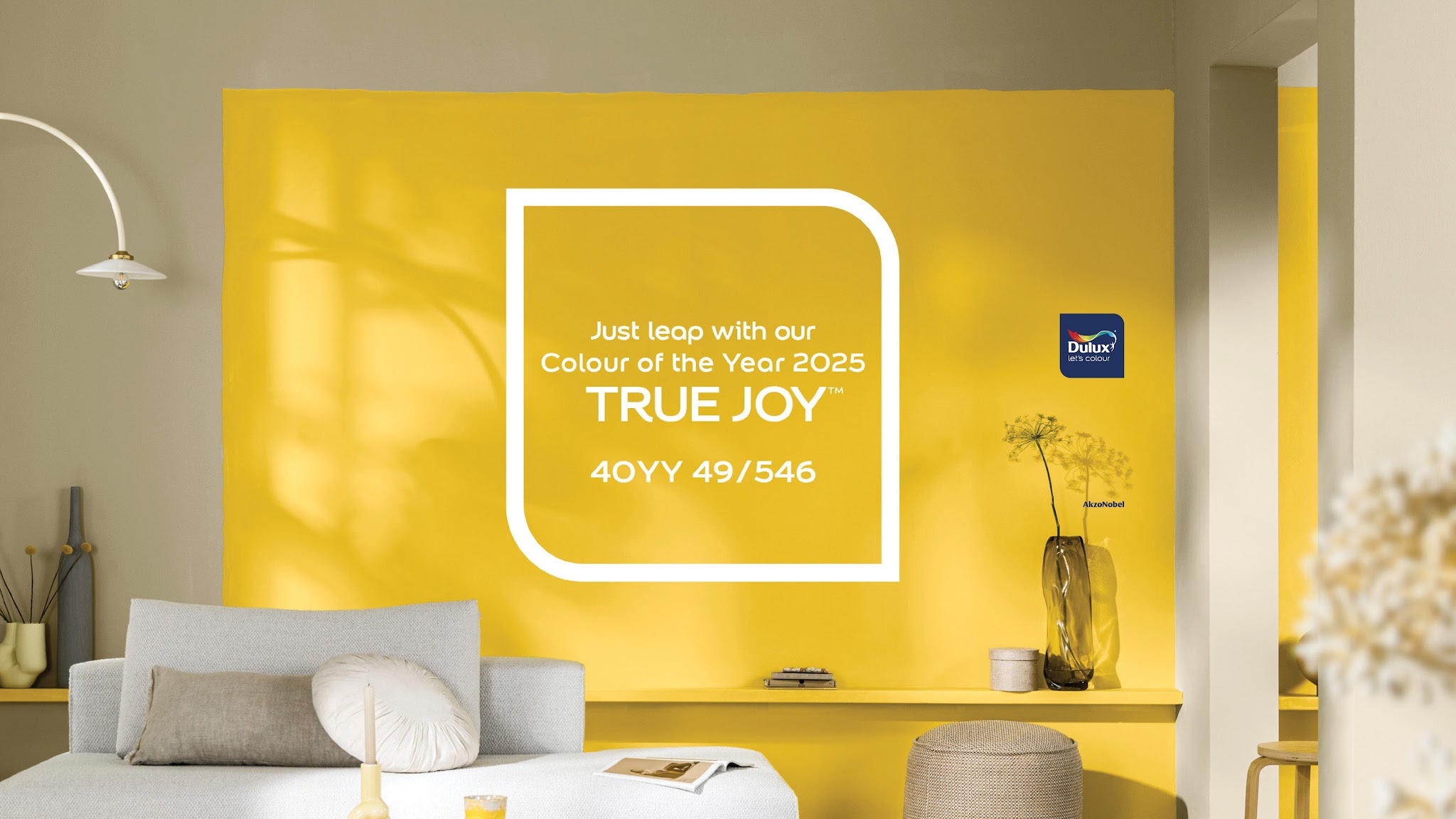 DuluxSA YouTube banner