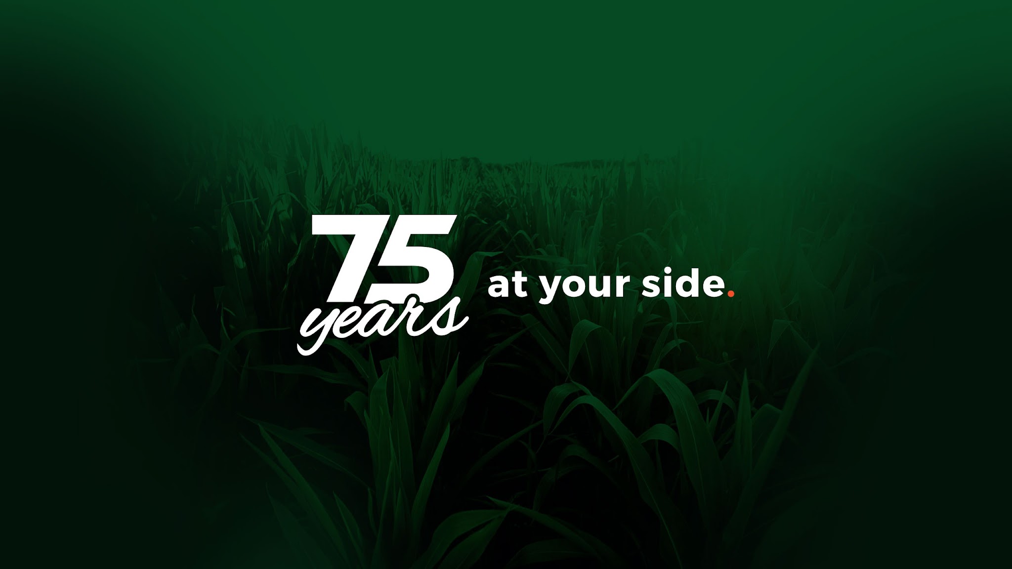 Cimbria YouTube banner