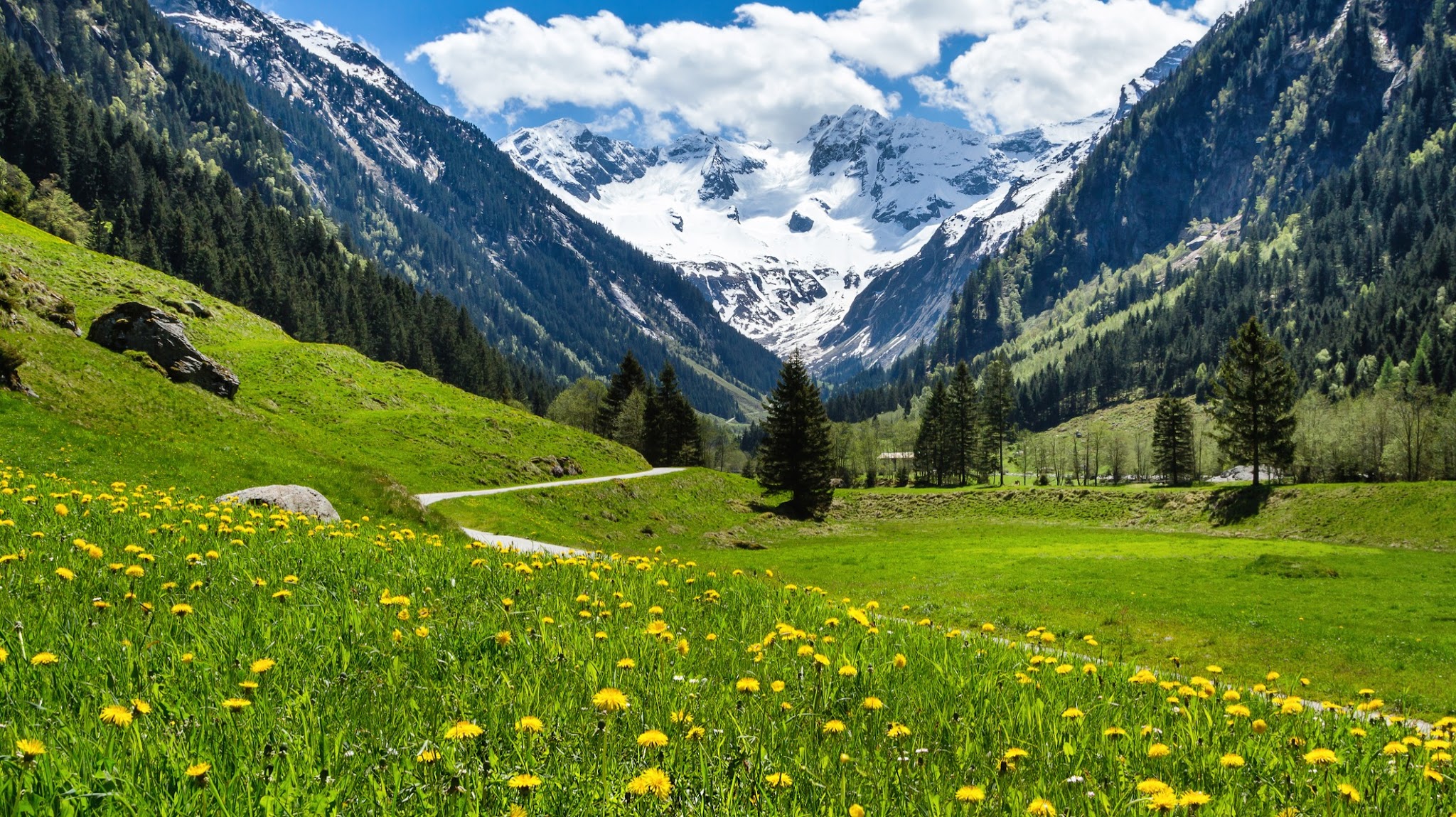 UN Tourism YouTube banner