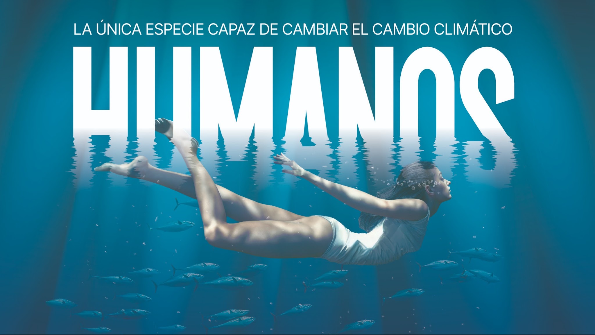 Oceanogràfic Valencia Oficial YouTube banner