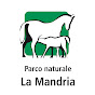 Parco naturale Mandria logo