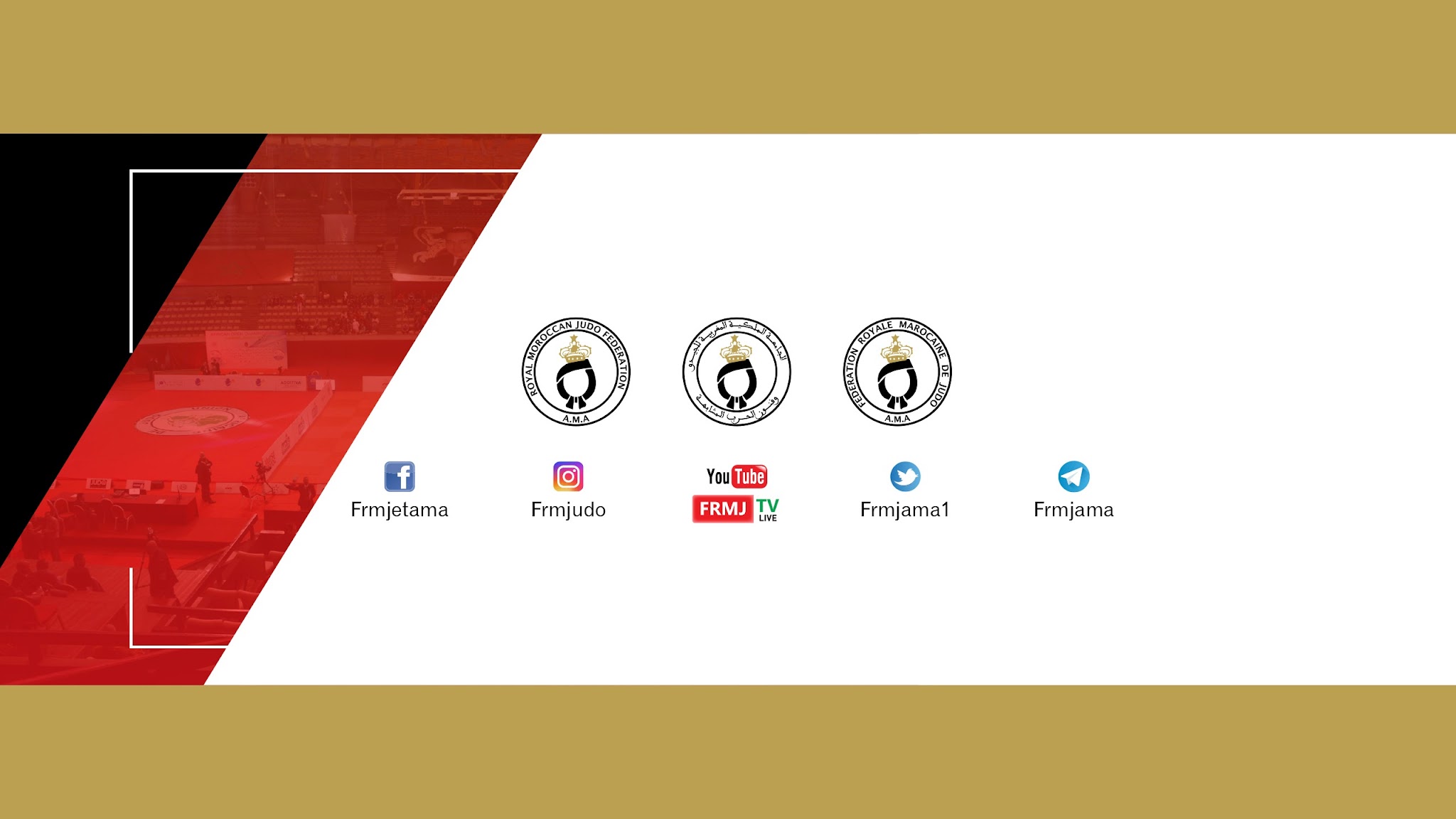 TesIa [Live] YouTube banner