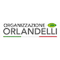 Organizzazione Orlandelli Srl logo
