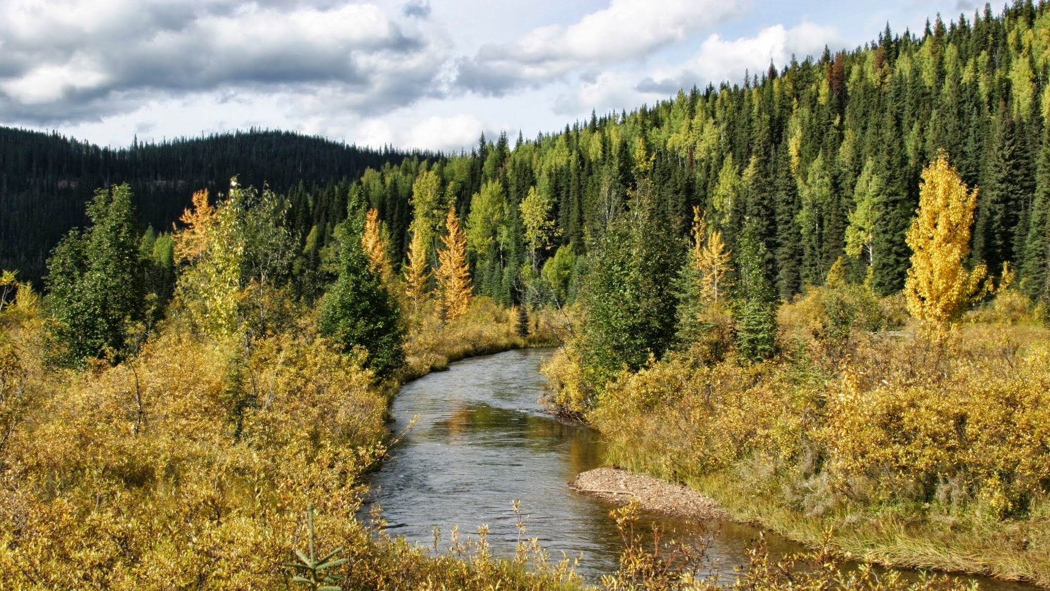 Canadian Council of Forest Ministers (CCFM) YouTube banner