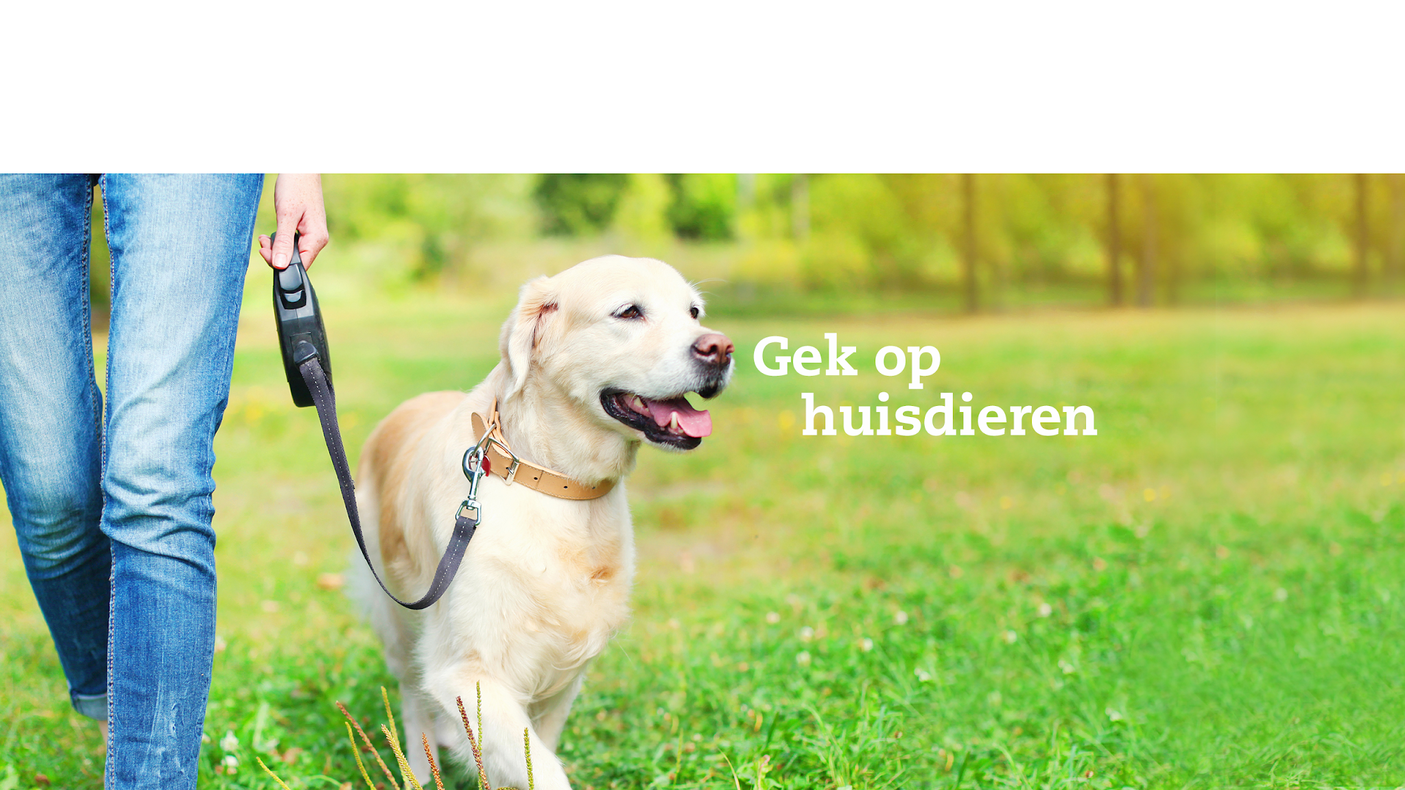 petsplaceTV YouTube banner