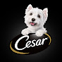 CESAR Canine Cuisine logo