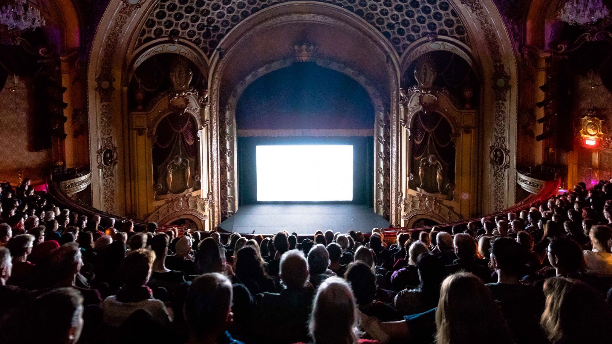 Sydney Film Festival YouTube banner