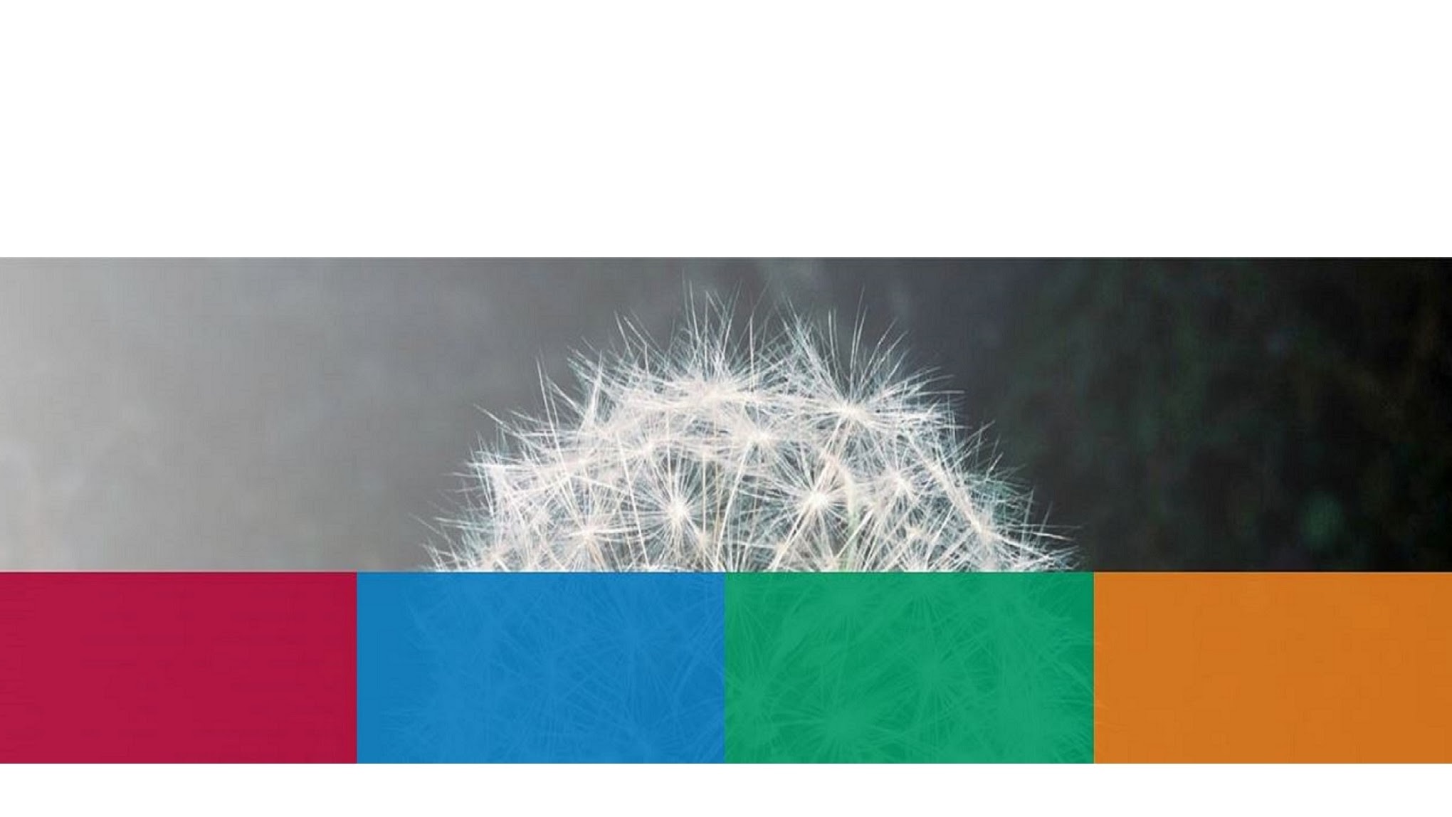 FOD Volksgezondheid YouTube banner