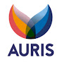 AurisGroep YouTube channel avatar 