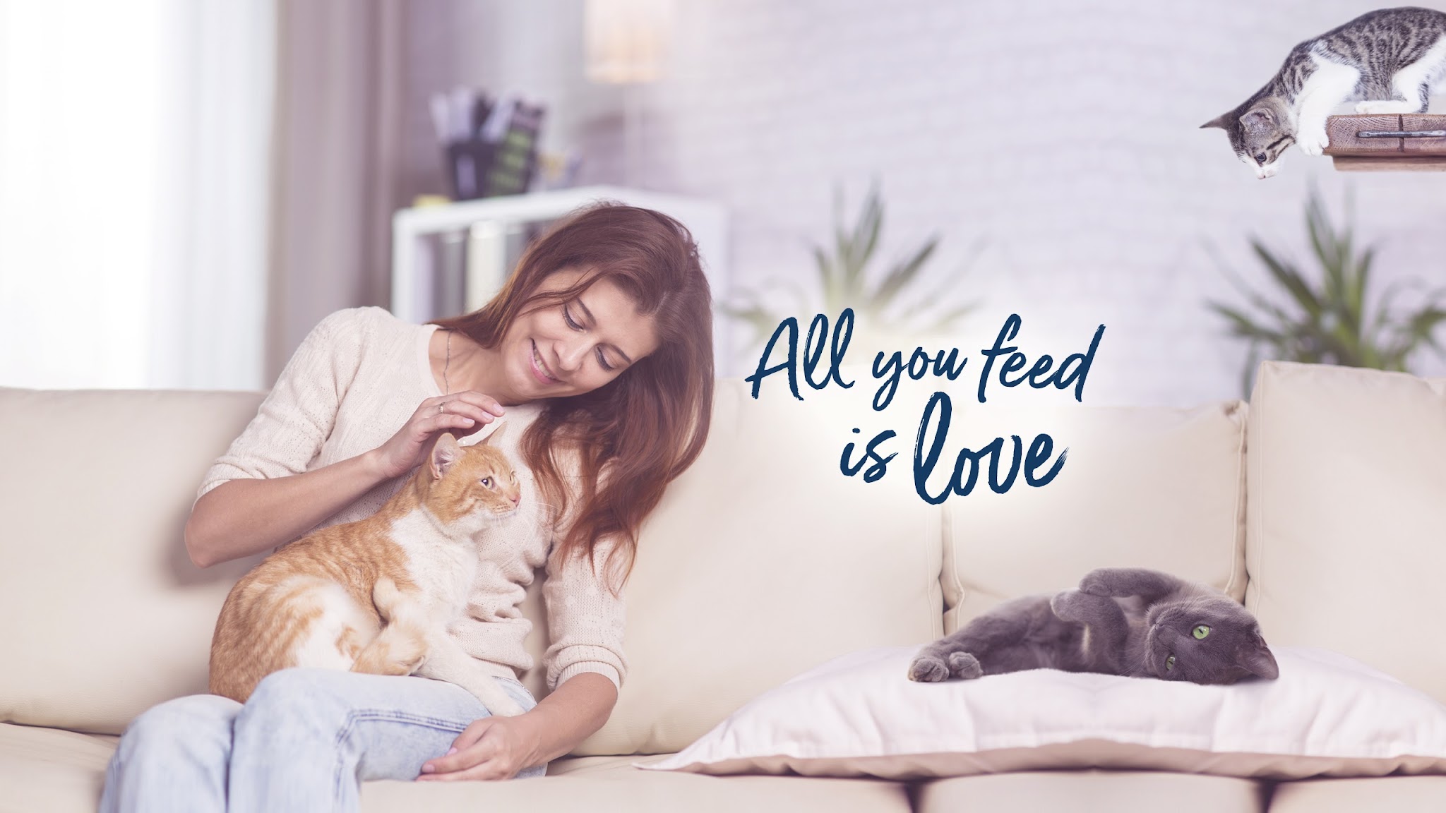 Happy Cat Deutschland YouTube banner