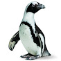 California Academy of Sciences YouTube channel avatar 