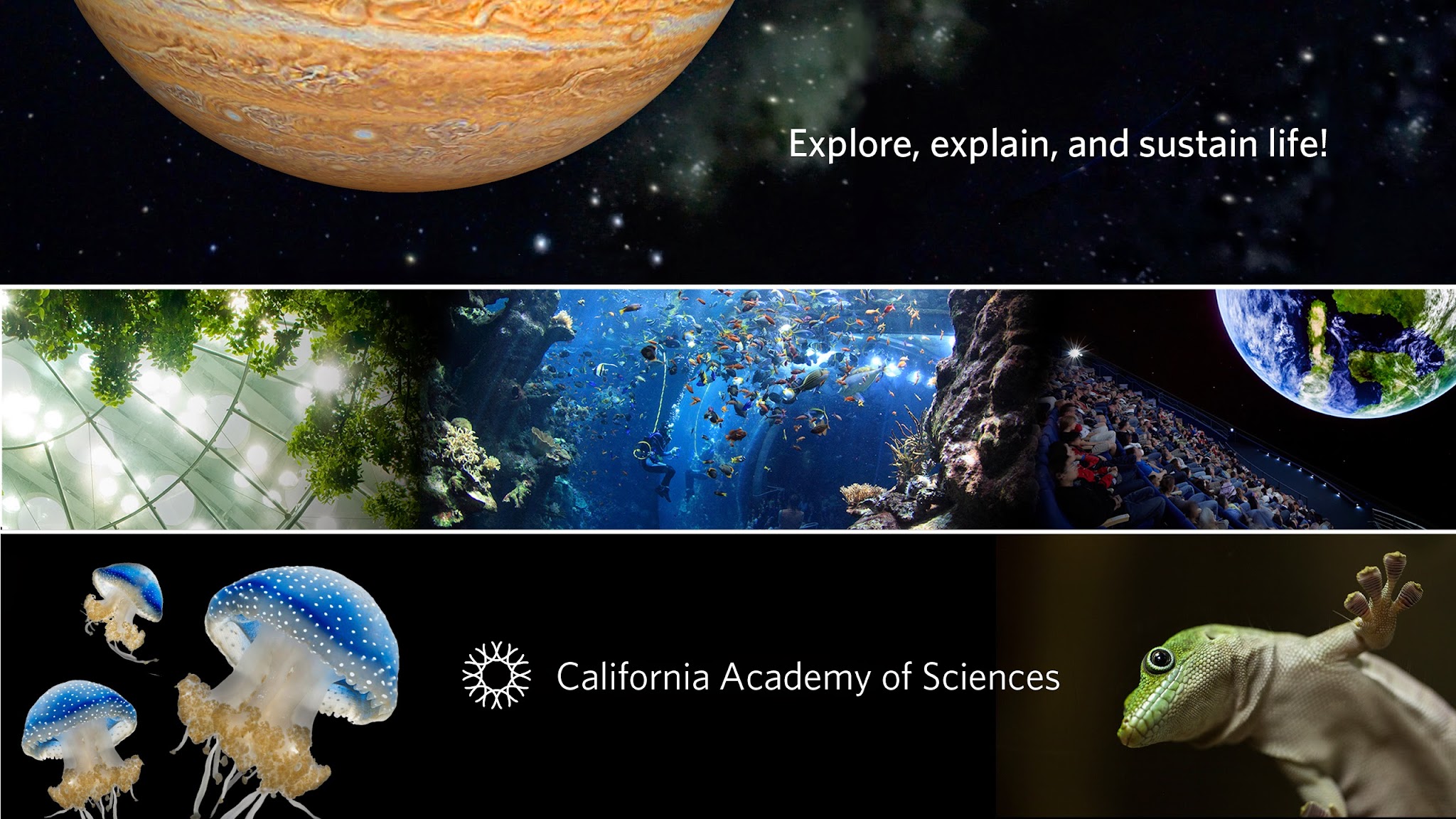 California Academy of Sciences YouTube banner