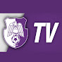 FC Arges TV logo
