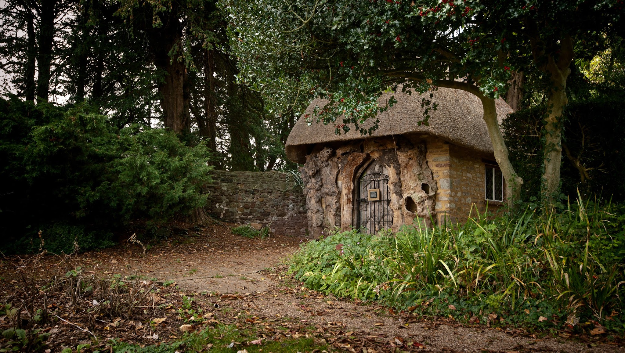 Dr Jenner's House YouTube banner