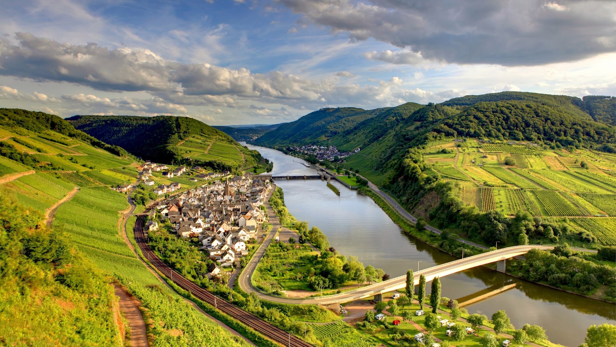 AfD Rheinland-Pfalz YouTube banner