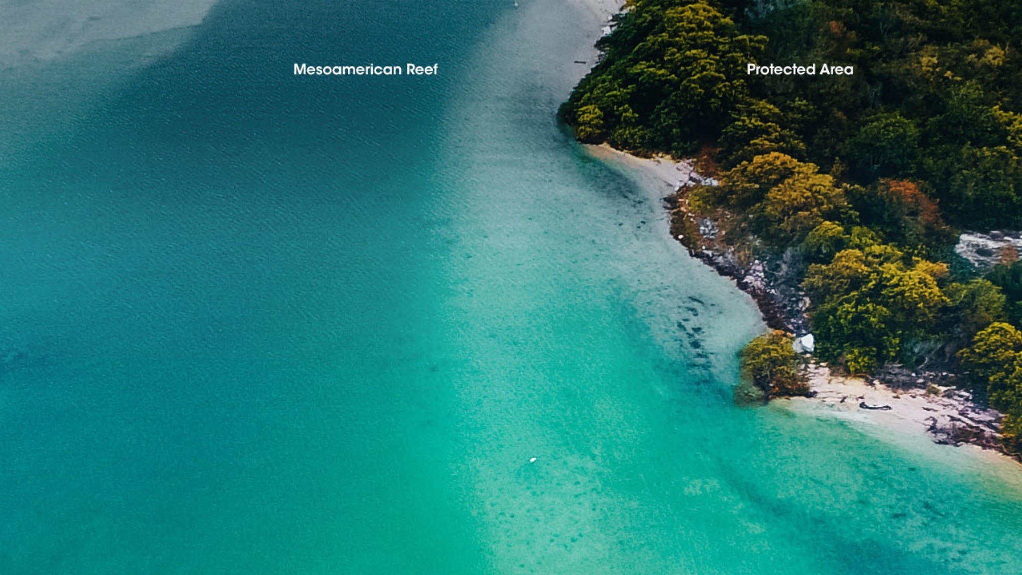 Ecowatt YouTube banner
