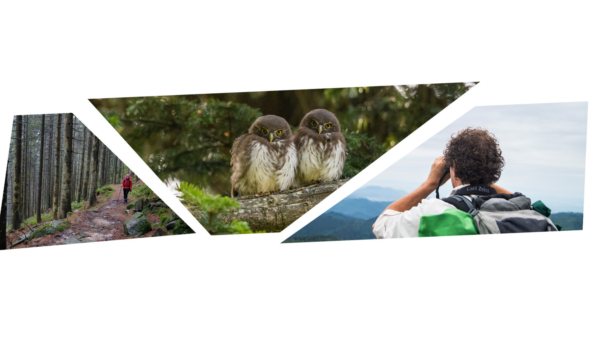Nationalpark Schwarzwald YouTube banner