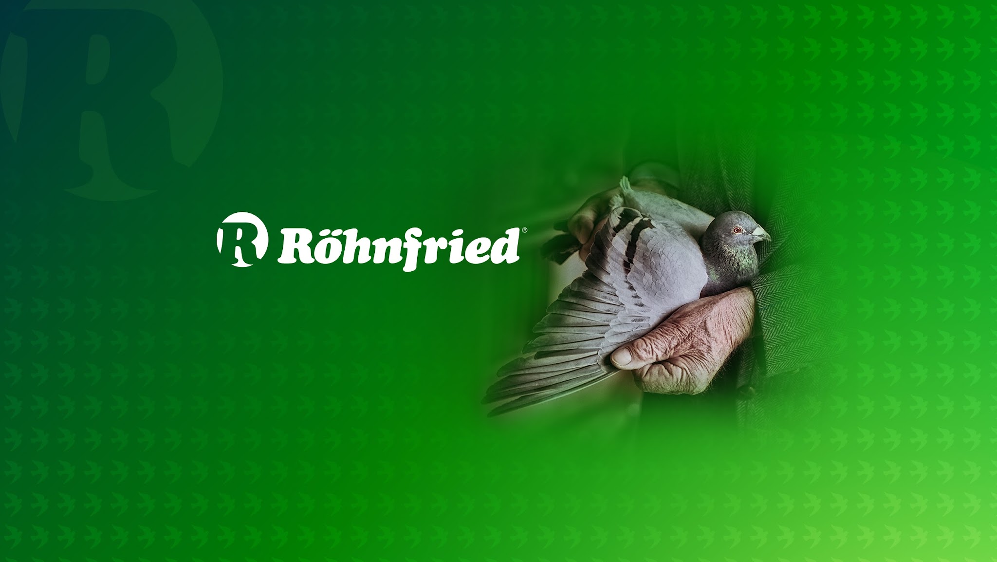 RöhnfriedTV YouTube banner