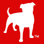 ZyngaNetwork YouTube channel avatar 