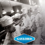 Gaylord Industries logo
