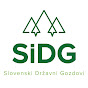 SiDG - Slovenski državni gozdovi logo
