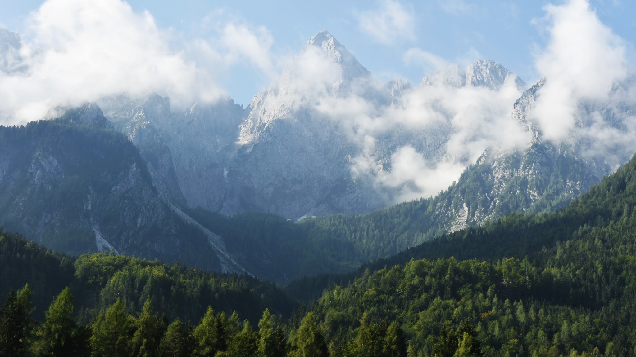 SiDG - Slovenski državni gozdovi YouTube banner