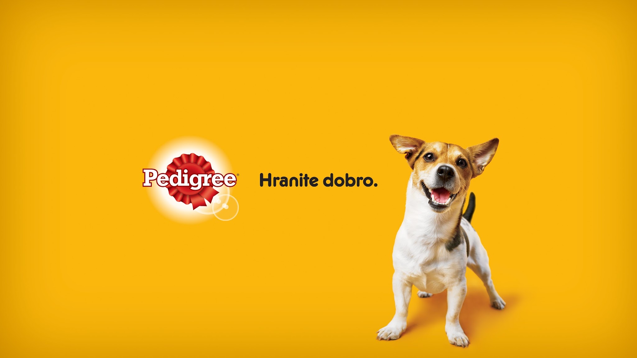 Pedigree Hrvatska YouTube banner